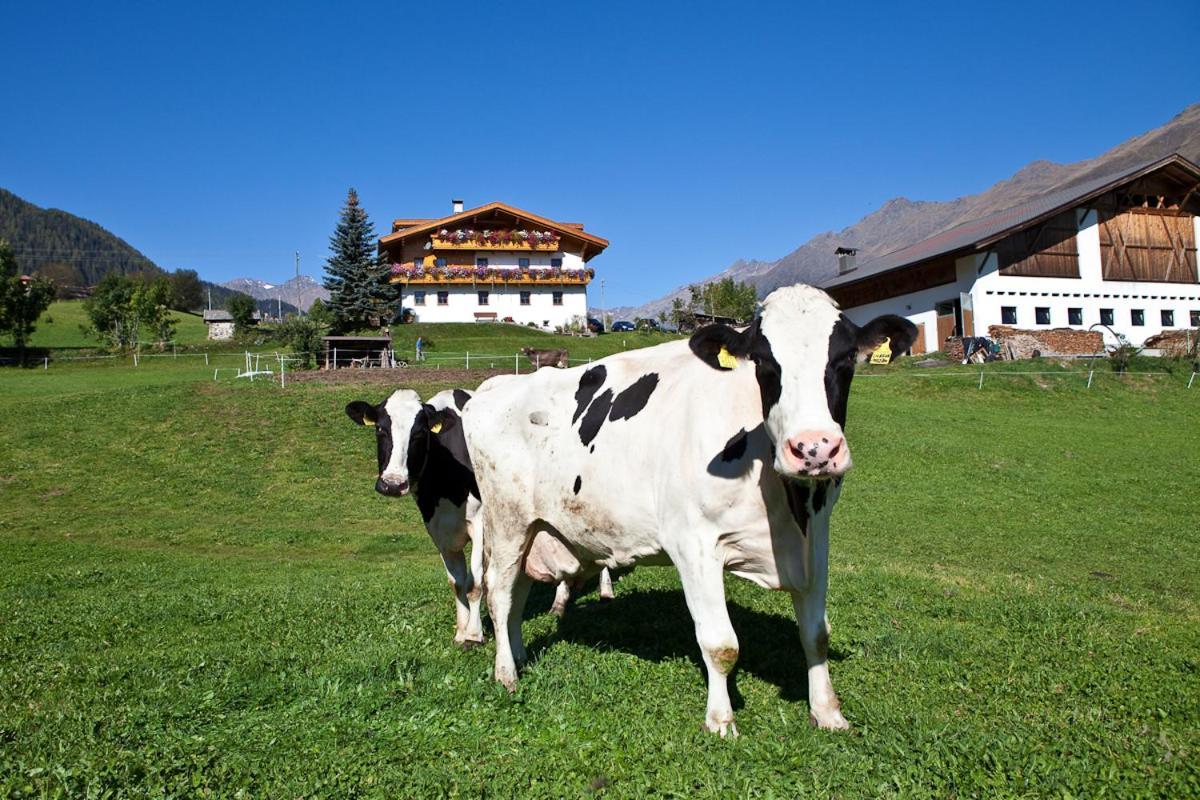 Schneiderhof, Chalet, Urlaub Auf Dem Bauernhof Ridanna Eksteriør bilde